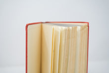 Load image into Gallery viewer, Hopscotch