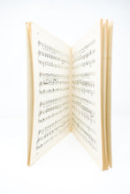 Load image into Gallery viewer, Fie! Fie! Fi-Fi!