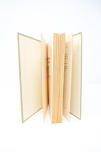 Load image into Gallery viewer, Pebble in the Sky