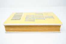 Load image into Gallery viewer, The Affluent Society