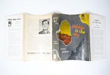 Load image into Gallery viewer, Pebble in the Sky