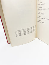 Load image into Gallery viewer, The Paper Thunderbolt